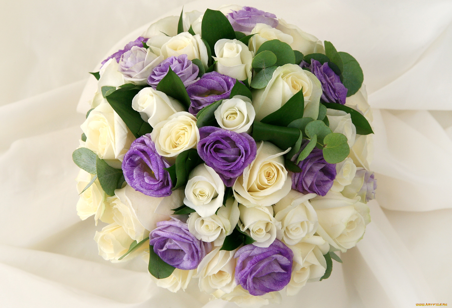 Белые розы фиолетовый. Лизиантус Рассела. Фрезия и эустома. Розы и эустома. Эустома Рози.
